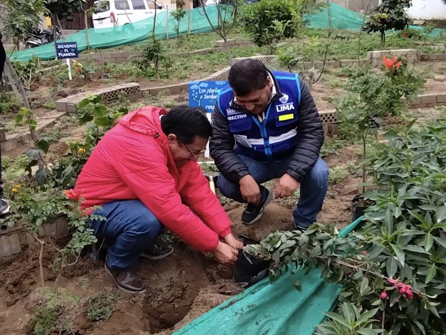 Ministerio del Ambiente 🇵🇪♻️ tweet media