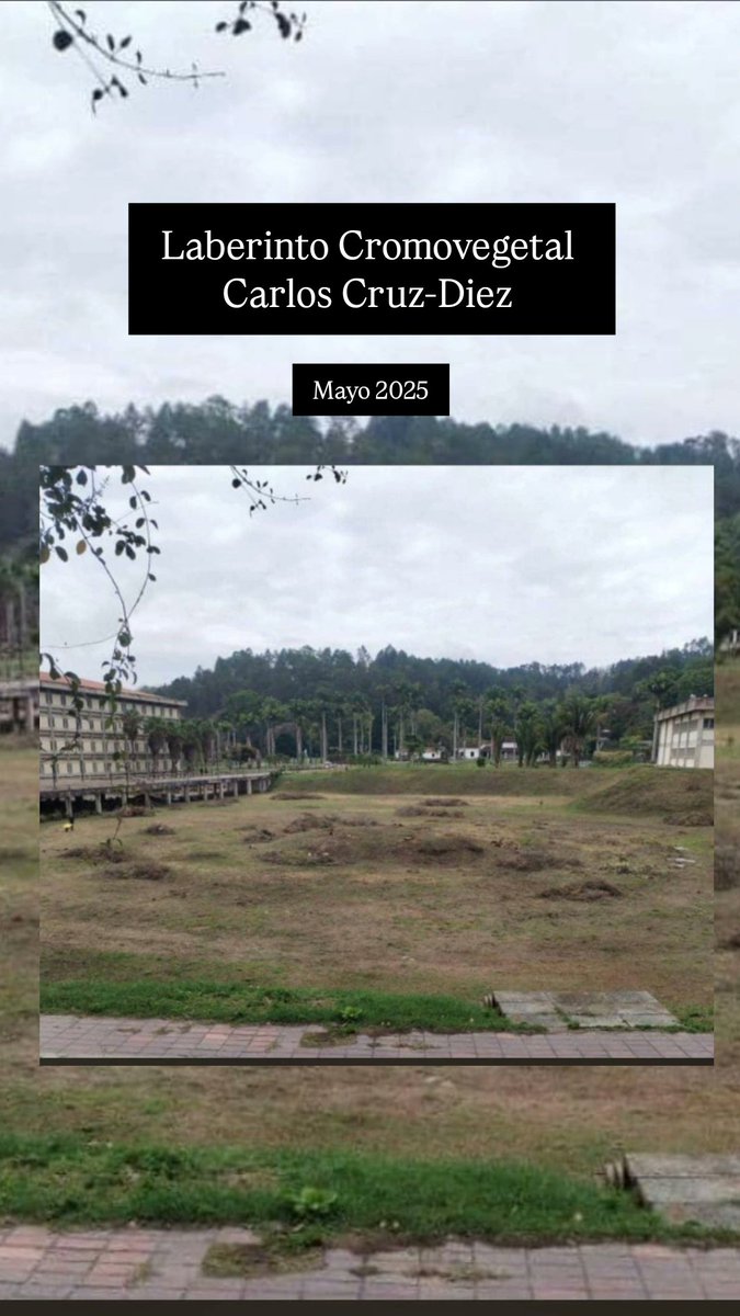 CervezaTipo's tweet image. "NO QUIERO VER A NUESTRA HERMOSA VENEZUELA DESTRUIDA"

Como olvidar cuando los gringos llegaron a la Universidad Simón Bolivar y destrozaron el laberinto cromovegetal de Cruz Diez