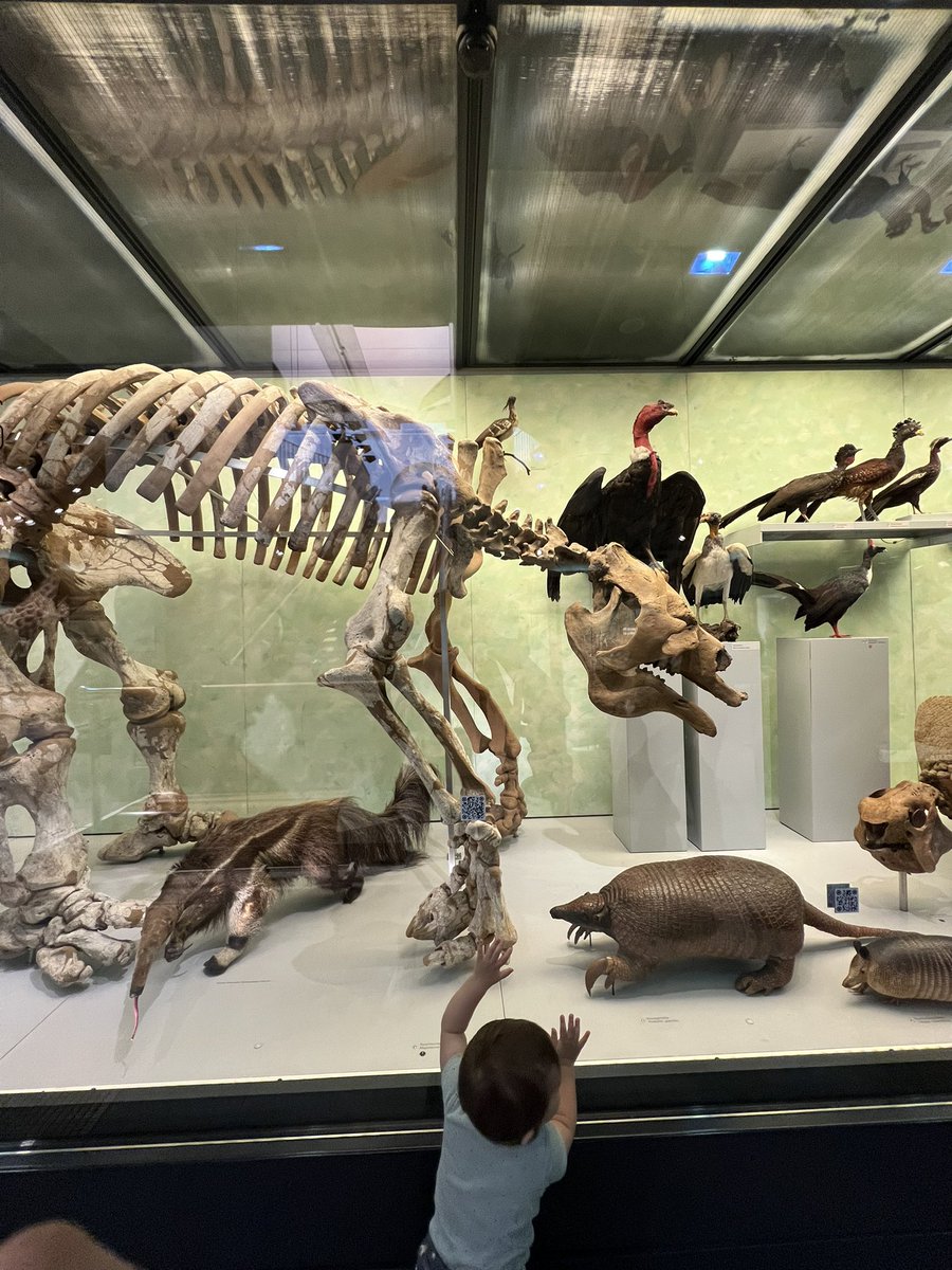 Mi sueño hecho realidad