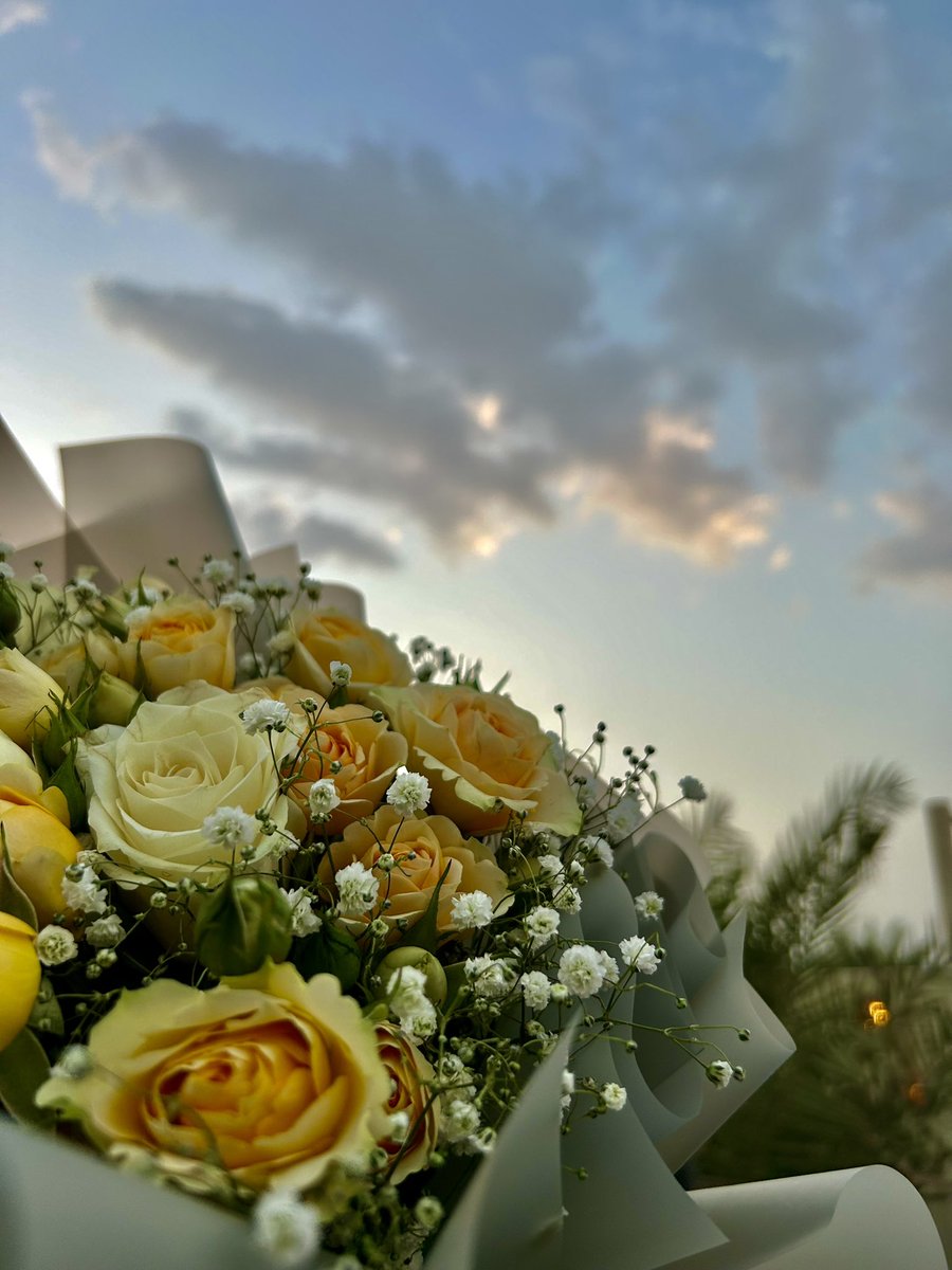 " أفضل انتصارات الحياة ، هو انسحابك من كل شيء مُؤذي ومُزيّف ، هم سيجدون من يُشبههم ، وأنت ستجد نفسك"💛

#بنت_راشد 
#مساء_الخير 
#مساء_الخير_والسعاده 
#مساء_الــود_والـــورد 
#تصويري