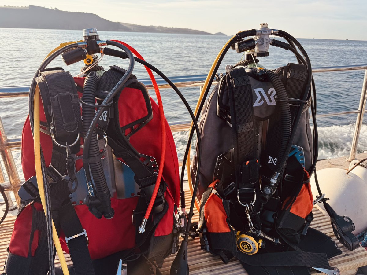 SEPE Diving tweet media