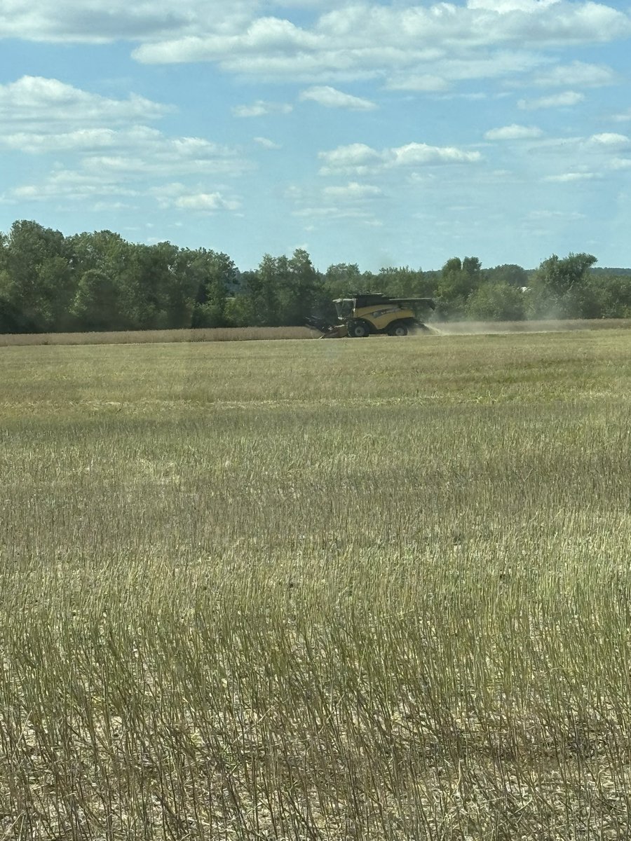 farmingfrank's tweet photo. #harvest2025 rolls on as we follow the combine planting winter wheat #ontag https://t.co/ccY01Tjyy2