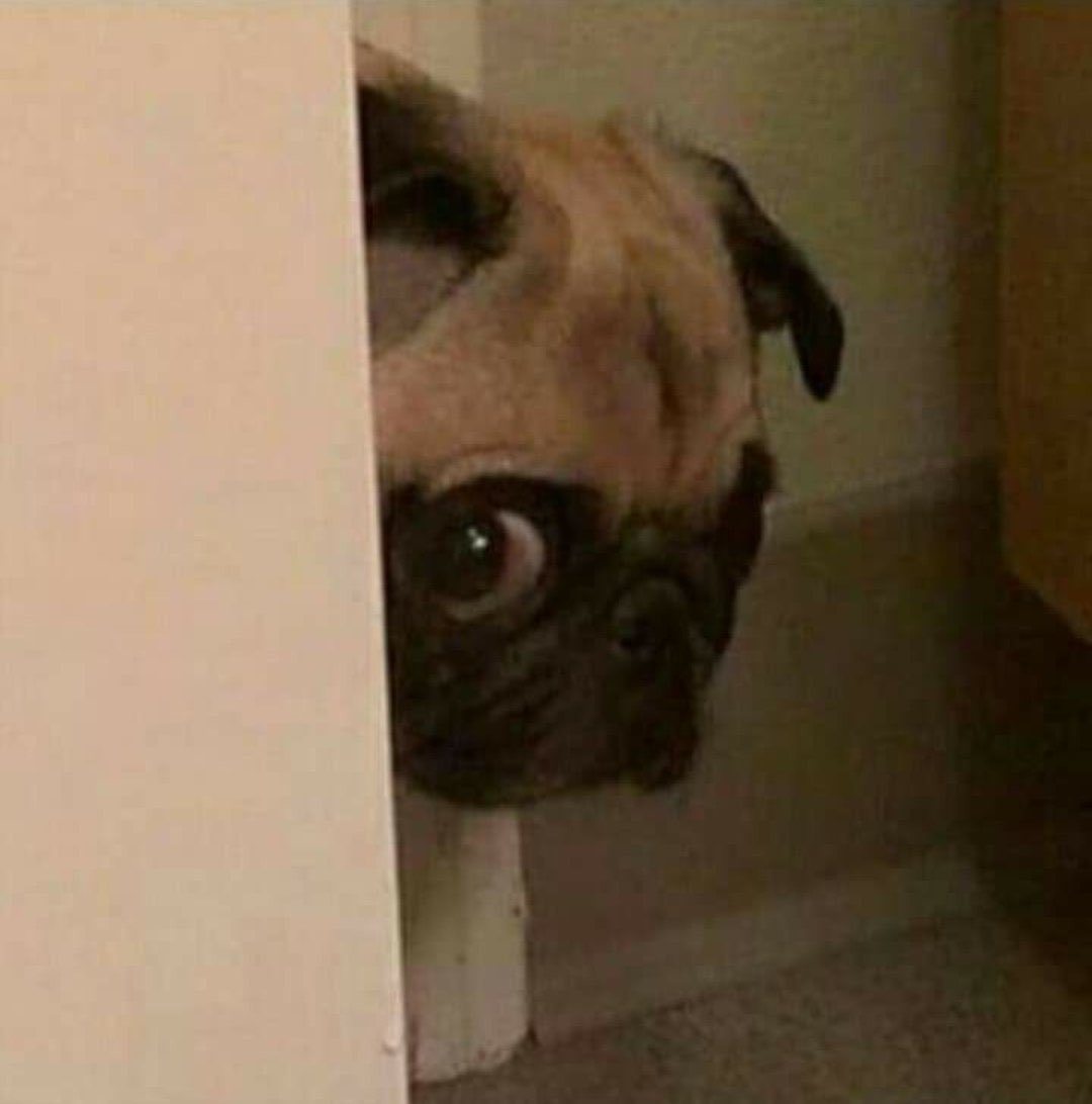 <a href="/algeriactufoot/">𝘼𝙇𝙂𝙀𝙍𝙄𝘼𝘾𝙏𝙐𝙁𝙊𝙊𝙏 🇩🇿</a> Ok mais le Liechtenstein a perdu combien de fois contre la Mauritanie ?