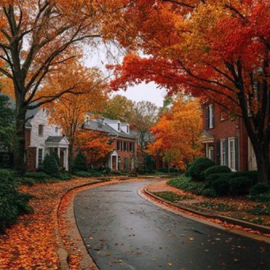 visualtherapy0's tweet image. smell of September