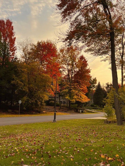 visualtherapy0's tweet image. smell of September