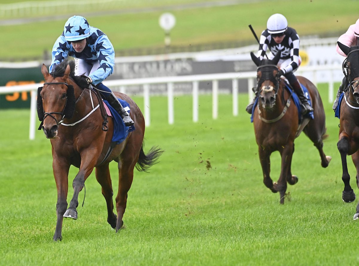Jordi Bear breaks his maiden in style at the Curragh under Joey Sheridan for trainer Fozzy Stack. Many congratulations to his owners, Mrs J Barrett and Craig Bernick 🥇

Purchased at the Goffs Orby Book 1 Yearling Sale by Avenue Bloodstock.