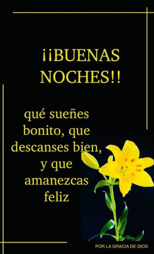 WHIPLASH3151066's tweet photo. Buenas noches 🌄
Dulces sueños 💤💤💤
Qué el descanso nos dé fuerzas para afrontar el siguiente día con energía renovada y claridad de ideas https://t.co/ZXBbbg4t2s