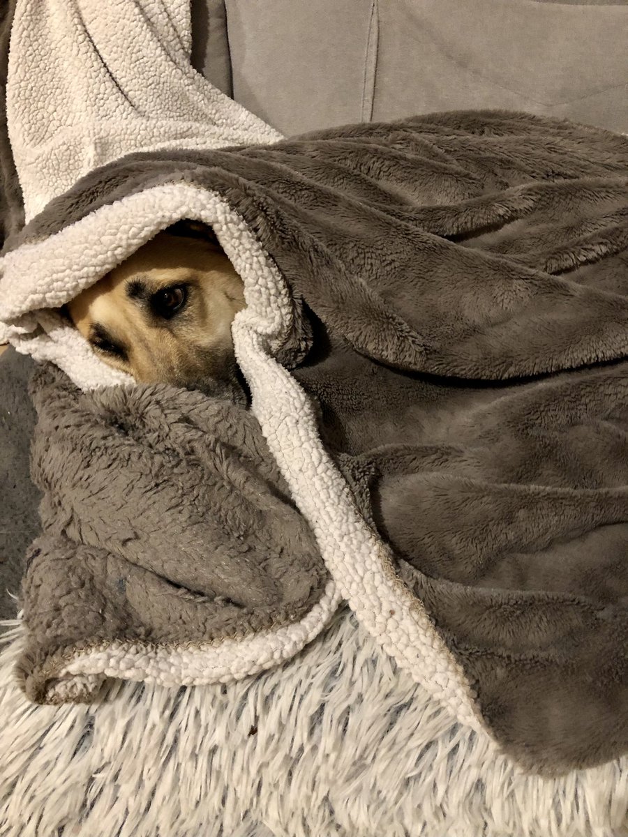 Actuellement en préparation de PLS parce que c'est Olivier Minne qui quitte le Fort Boyard ce soir, j'ai l'impression que là c'est vraiment fini la bamboche