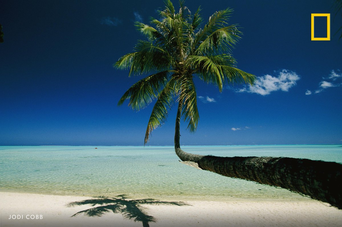 No puns, no witty comment, just an unbelievable view of a beach in Bora Bora, French Polynesia, for National Beach Day! 🏝️