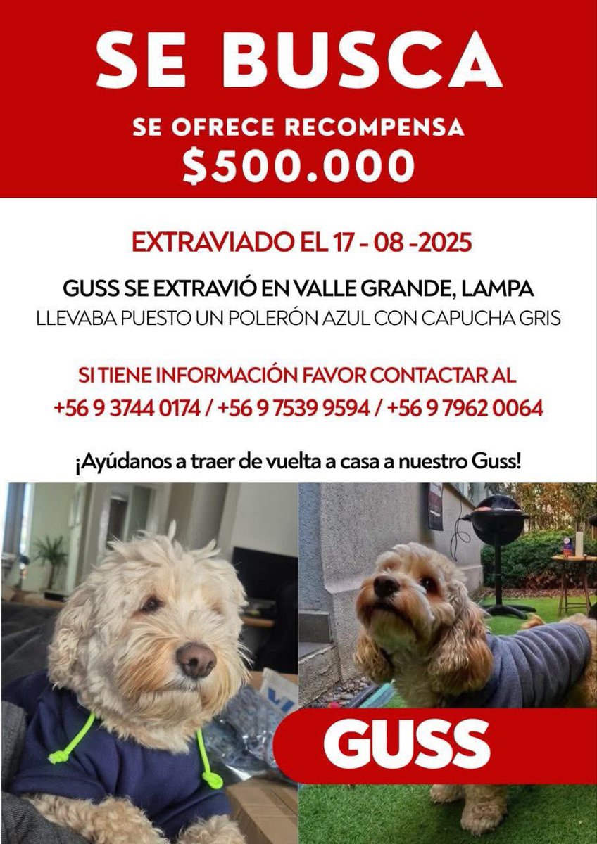 🆘 aún no aparece guss si alguien lo
Tiene lleva un poleron azul con capucha gris #lampa si alguien lo ve lo tiene . Una familia está diciendo por el . Difundir rt