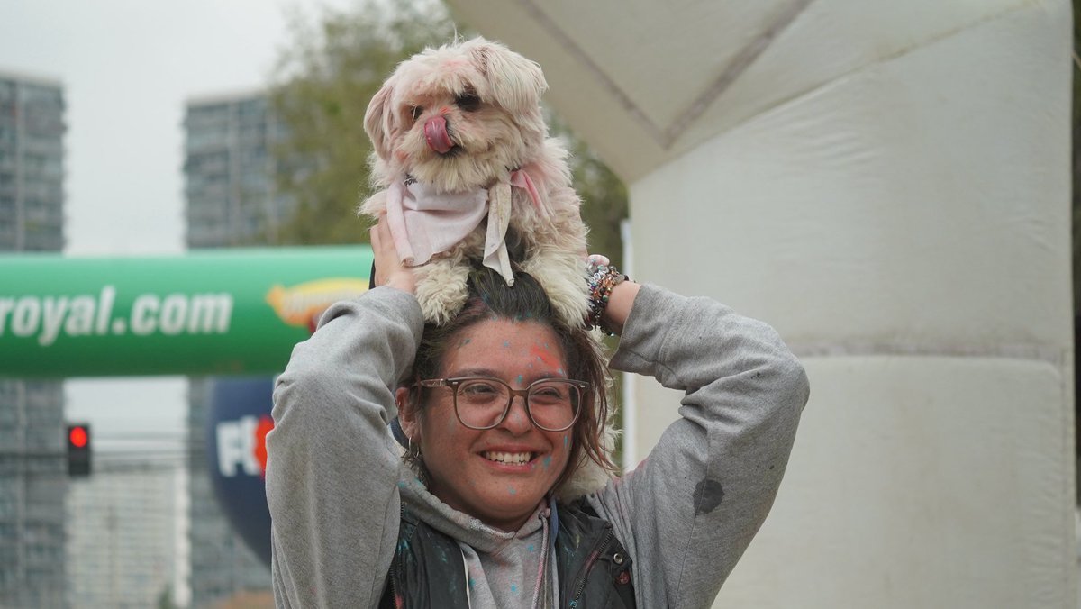 danielreyesmor's tweet photo. La Canela lleva más de un año conmigo y hoy tuvimos nuestra primera corrida, donde nos fue súper bien 🐶
Felicitaciones Cristóbal Muñoz y a todo el equipo de la Corporación de Deportes por tremenda organización de la #ColorPets y gracias a los más de 500 vecinos y vecinas que participaron en esta colorida y entretenida actividad.
Este tipo de actividades son las que me hacen seguir creyendo que somos la mejor comuna de Chile 🍀
Y recuerden siempre, #AdoptaNoCompres 💛