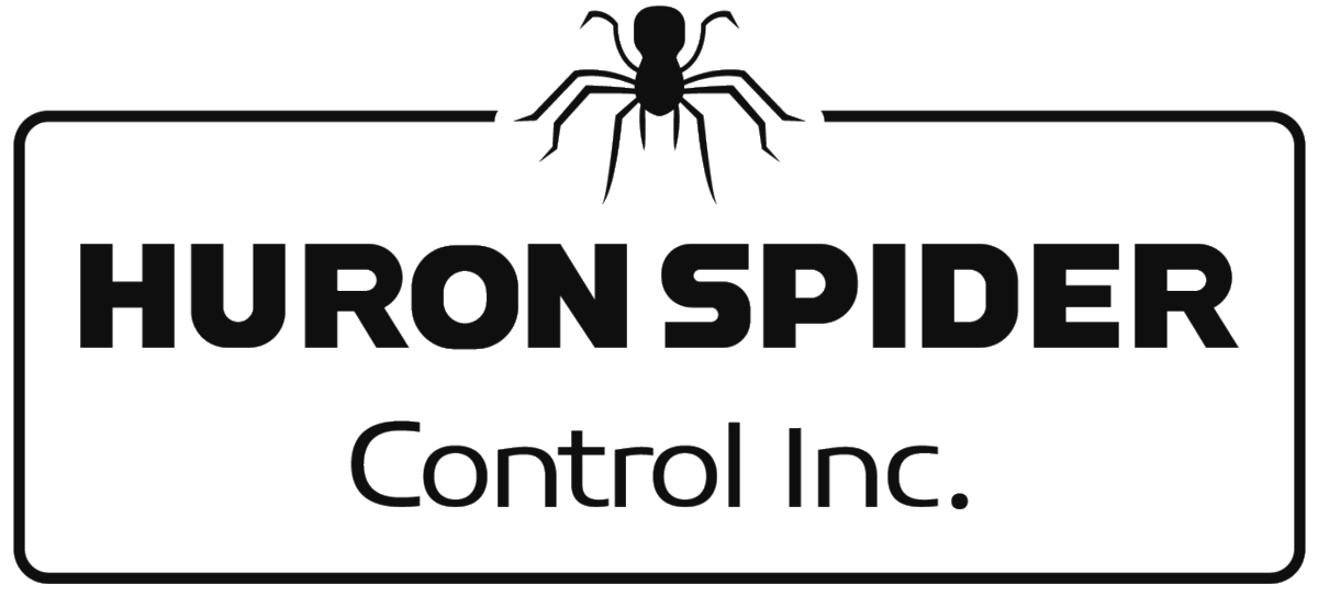 HuronSpider's tweet photo. It's time to book your Fall Spider Spray! 

Contact us today to book your Fall Spider Spray.

https://t.co/T50SCkXj5F https://t.co/VmRpHbvqSK