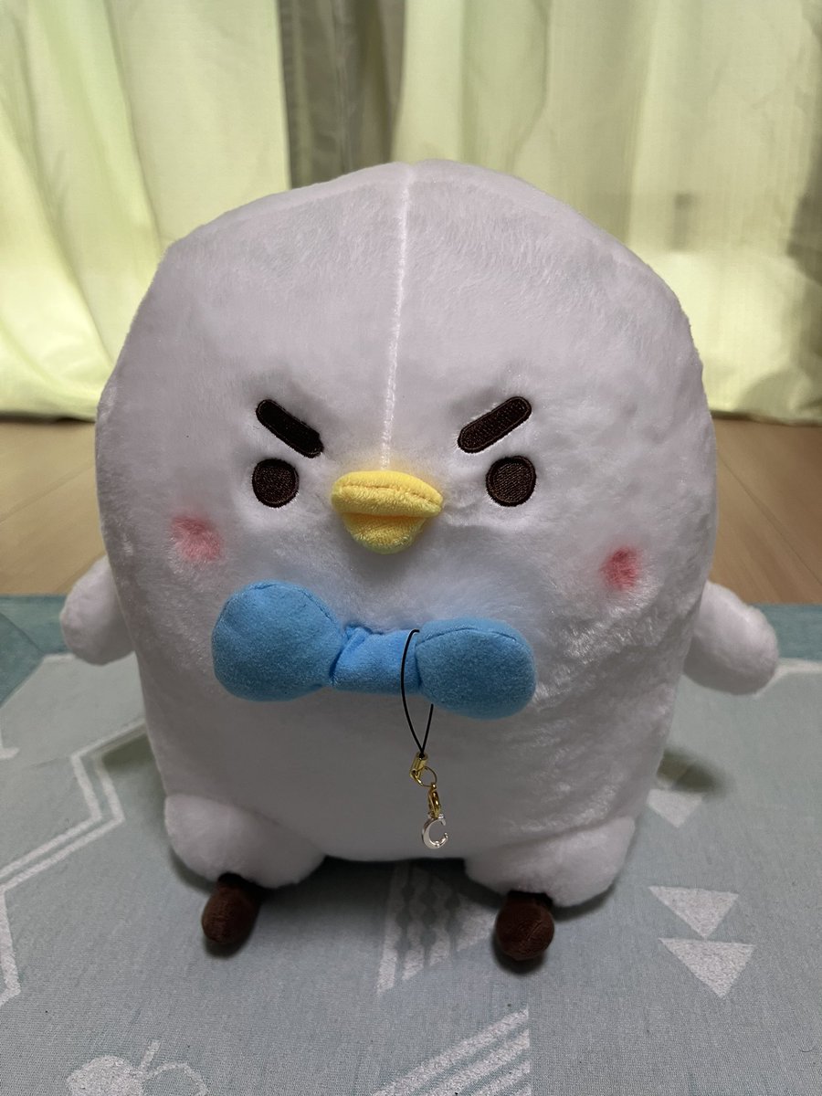 C「わんつーぴちゅぴちゅ！最近くらげんずっとカロリーオーバー！運動しなさい！」