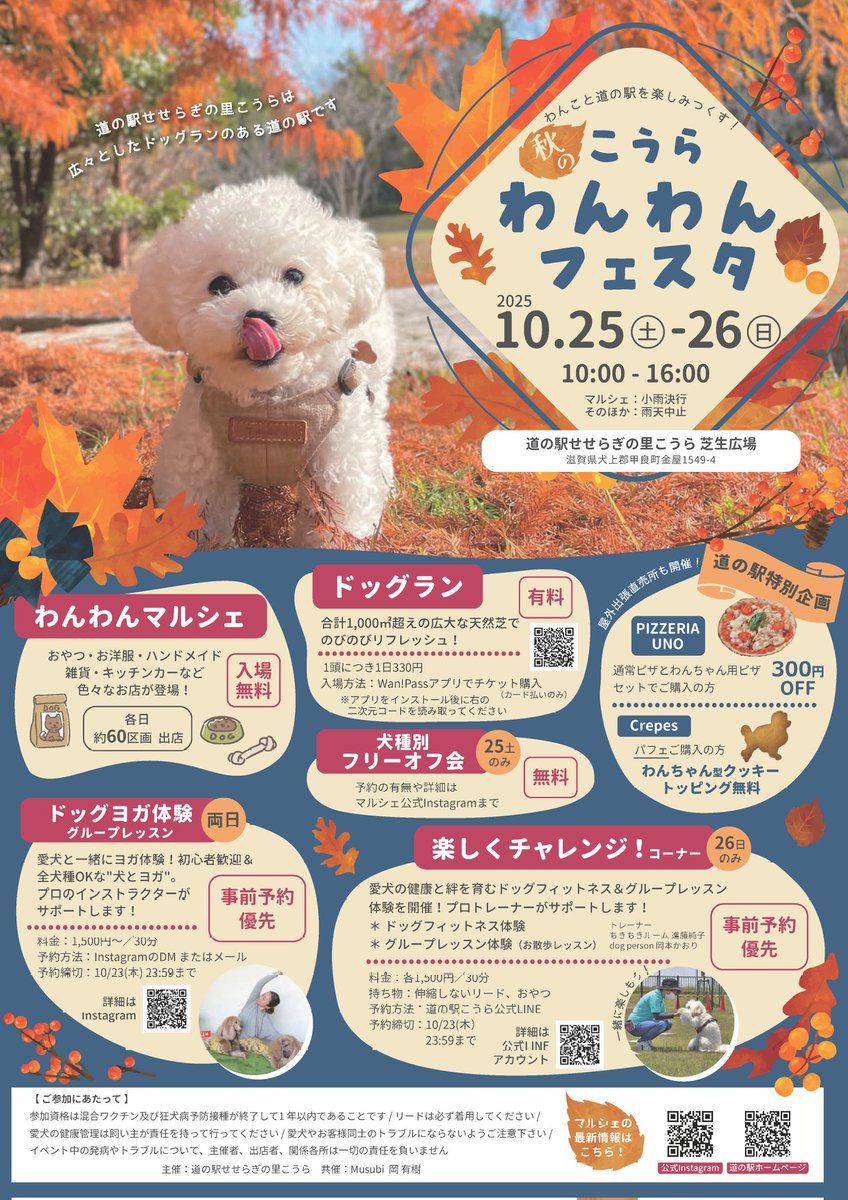 kouramichinoeki's tweet photo. 秋の『わんわんフェスタ』のチラシが出来ました🐶
今回は新しい企画として『ドックヨガ体験』を行います🐶
いろいろな企画をご用意して皆さまのお越しをお待ちしています🐶
#道の駅せせらぎの里こうら
#わんわんフェスタ https://t.co/83oQA5EPqR