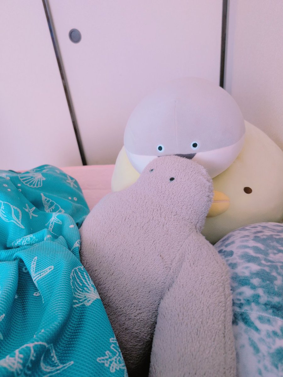 hoccoriocayu's tweet photo. スピスがゆにおの頭食べてる😱
#ぬい撮り #ぬいぐるみの時間
#ブルーブルーエ #サカバンバスピス
#FUNIO https://t.co/fKOAQHk2h7