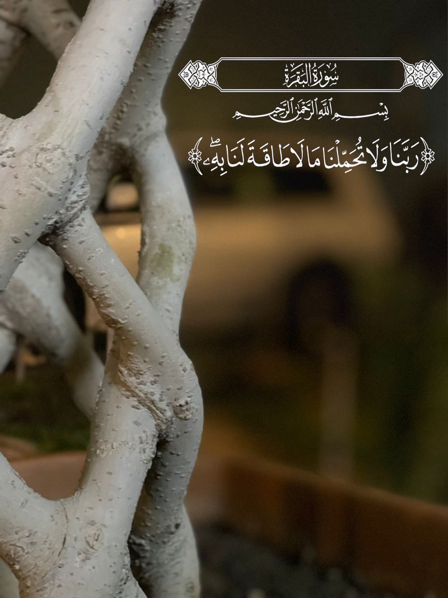 رَبَّنَا وَلَا تُحَمِّلْنَا مَالَا طَاقَةَ لَنَا بِِهِ