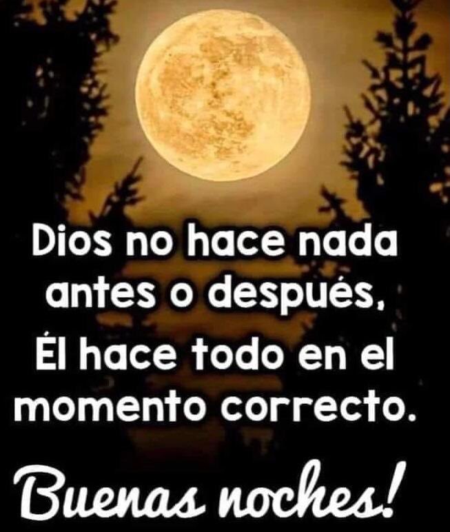 Buenas noches amados amigos, nuestra noche se sigue con la bendición y protección de Dios en nuestro descanso. Dulces sueños, alegre amanecer, agradecidos siempre, los abrazo 🙏🤗🌺😴💕💫