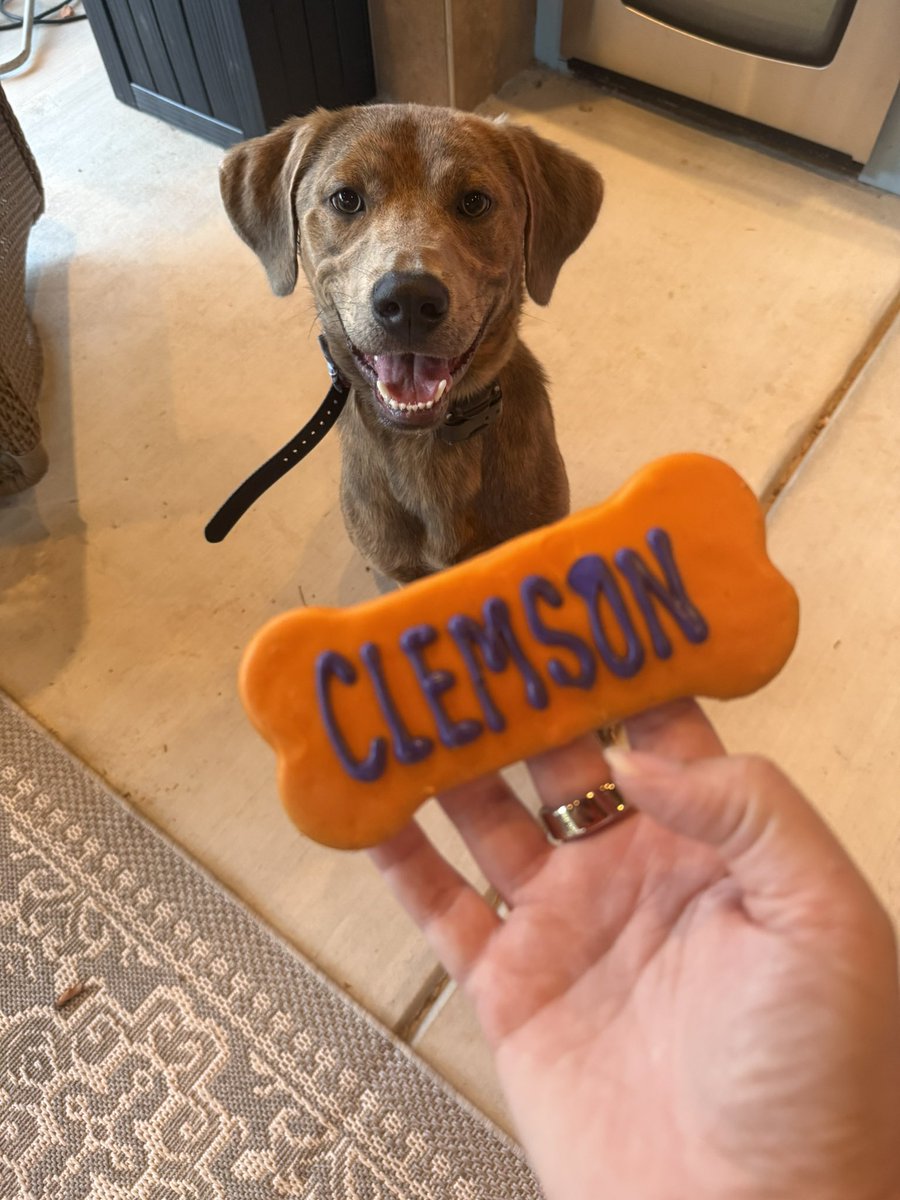 Carol Anderson tweet media