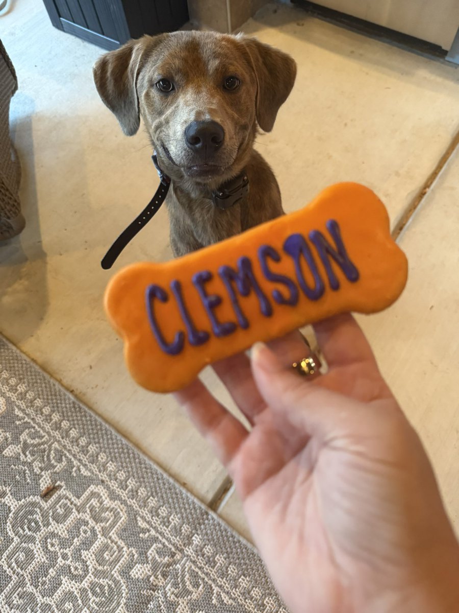 Carol Anderson tweet media