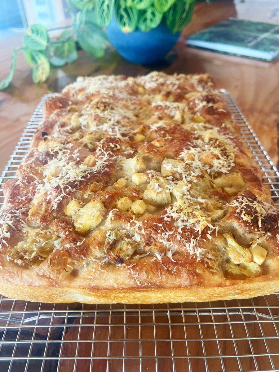 Long weekend sourdough focaccia. Cheeses and artichokes. Recipe adapted from <a href="/theperfectloaf/">The Perfect Loaf</a>.