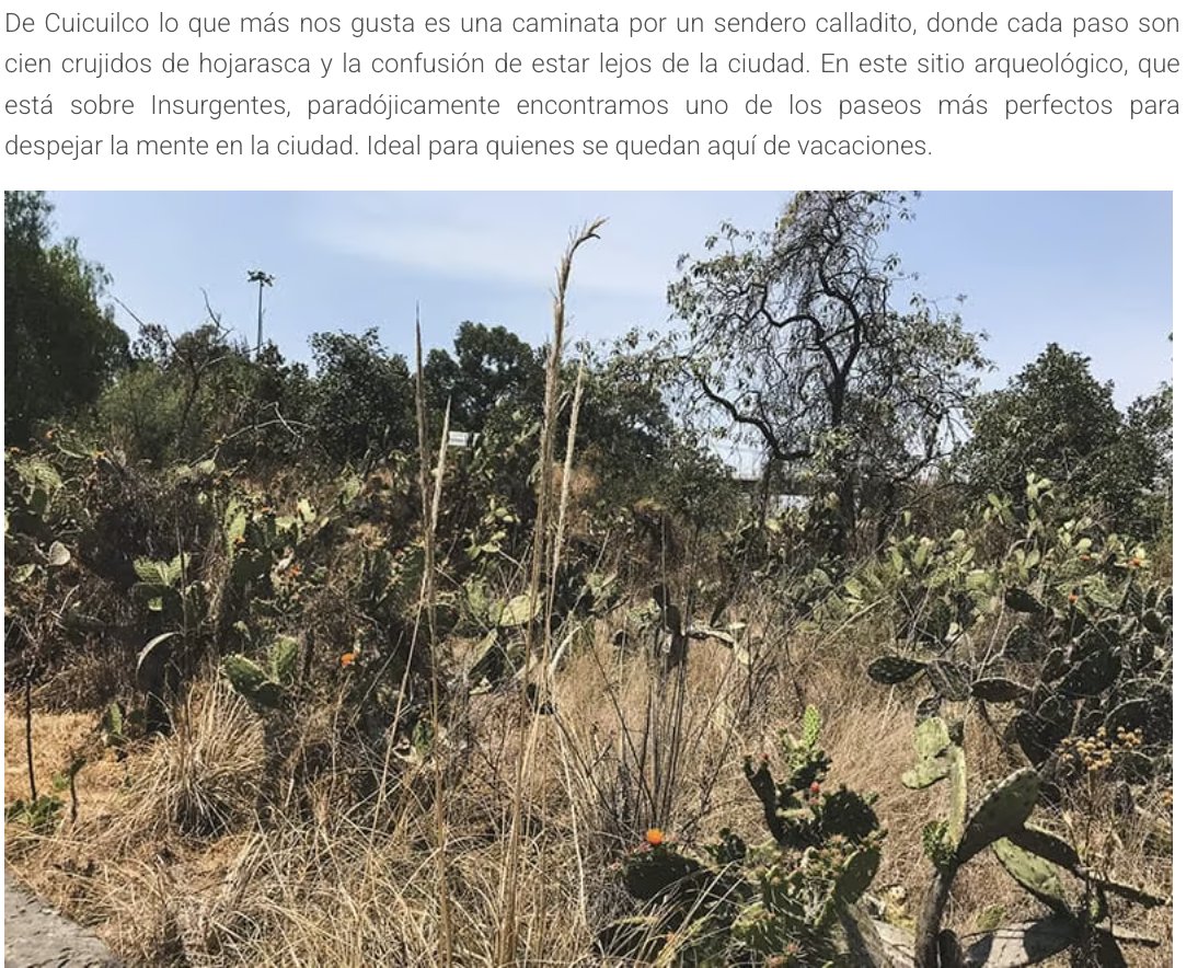 localmx_'s tweet photo. #Caminatas. En medio de piedras volcánicas, en el sendero que se forma al costado del basamento de Cuicuilco hay un silencio extraordinario, uno de los paseos más perfectos para despejar la mente en la ciudad. Lee la nota aquí: https://t.co/kUO1jzY6Ke https://t.co/4P7CIHKLxT