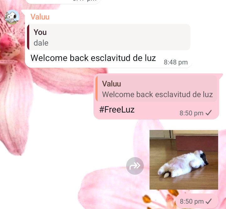 cr4zykiss's tweet photo. soy la esclava de este gc bue #auxilio #FreeLuz #miedo #terror #ozuna #ChatGPT https://t.co/kerFCnmuLh