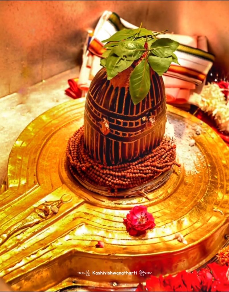 ॐ नमः पार्वती पतये हर हर महादेव 🔱