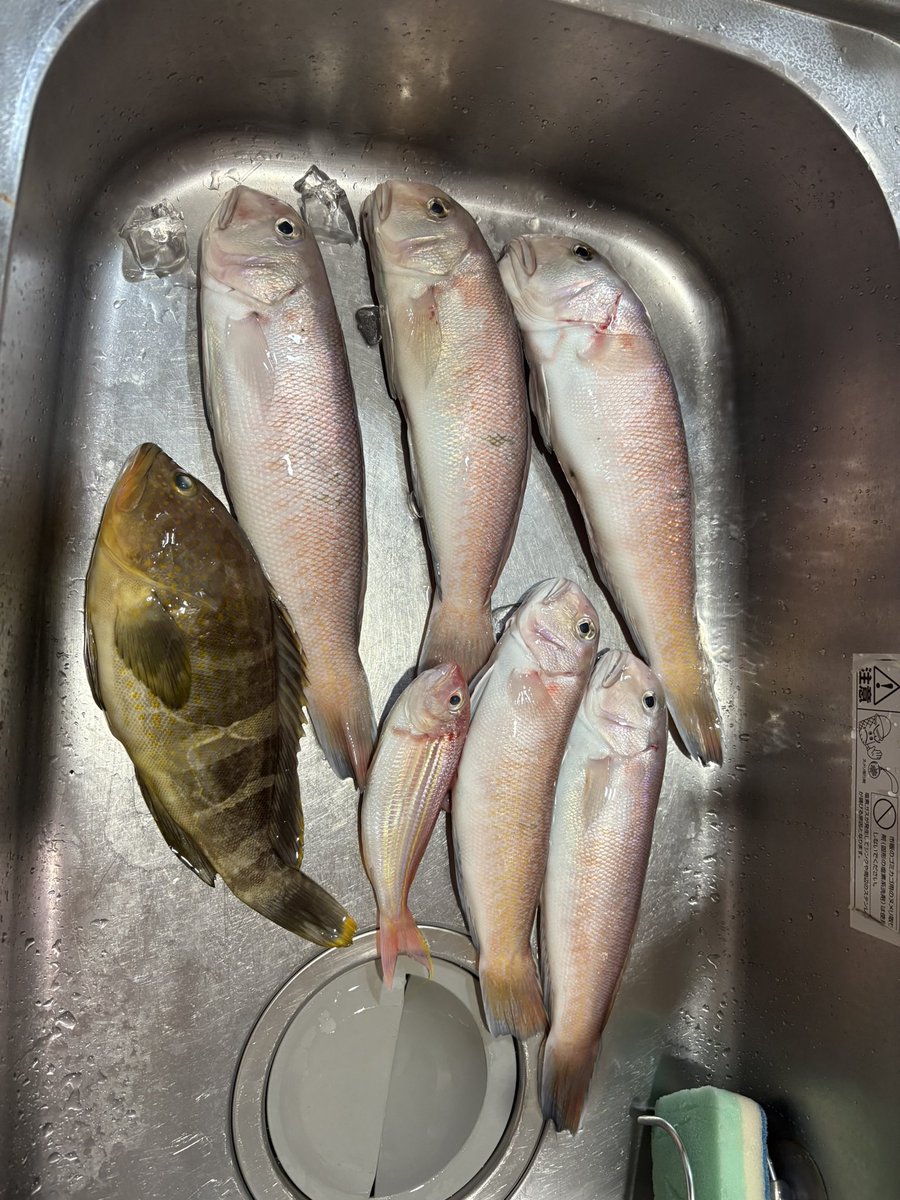 三冠王わかめ tweet media