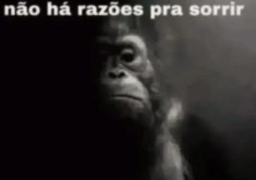 PepadaSCCP's tweet photo. Percebi que era flerte 7 horas depois de ler a mensagem... https://t.co/BN6VWhV83R