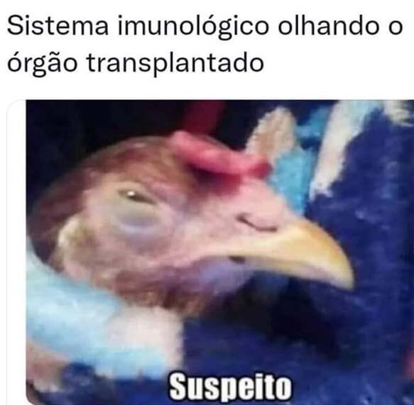 memeinteligente's tweet image. 