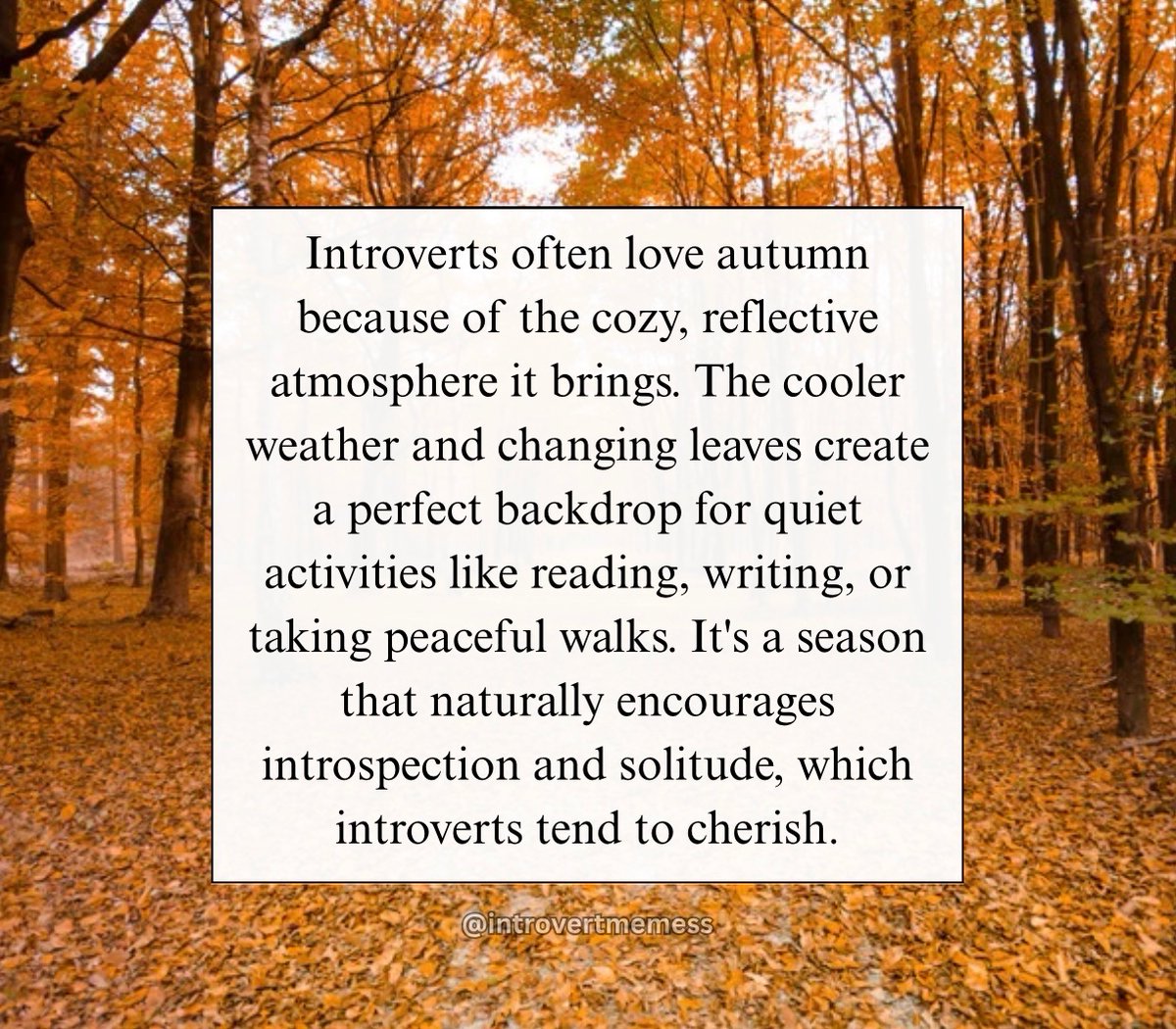 All About Introverts (@allabintroverts) on Twitter photo 