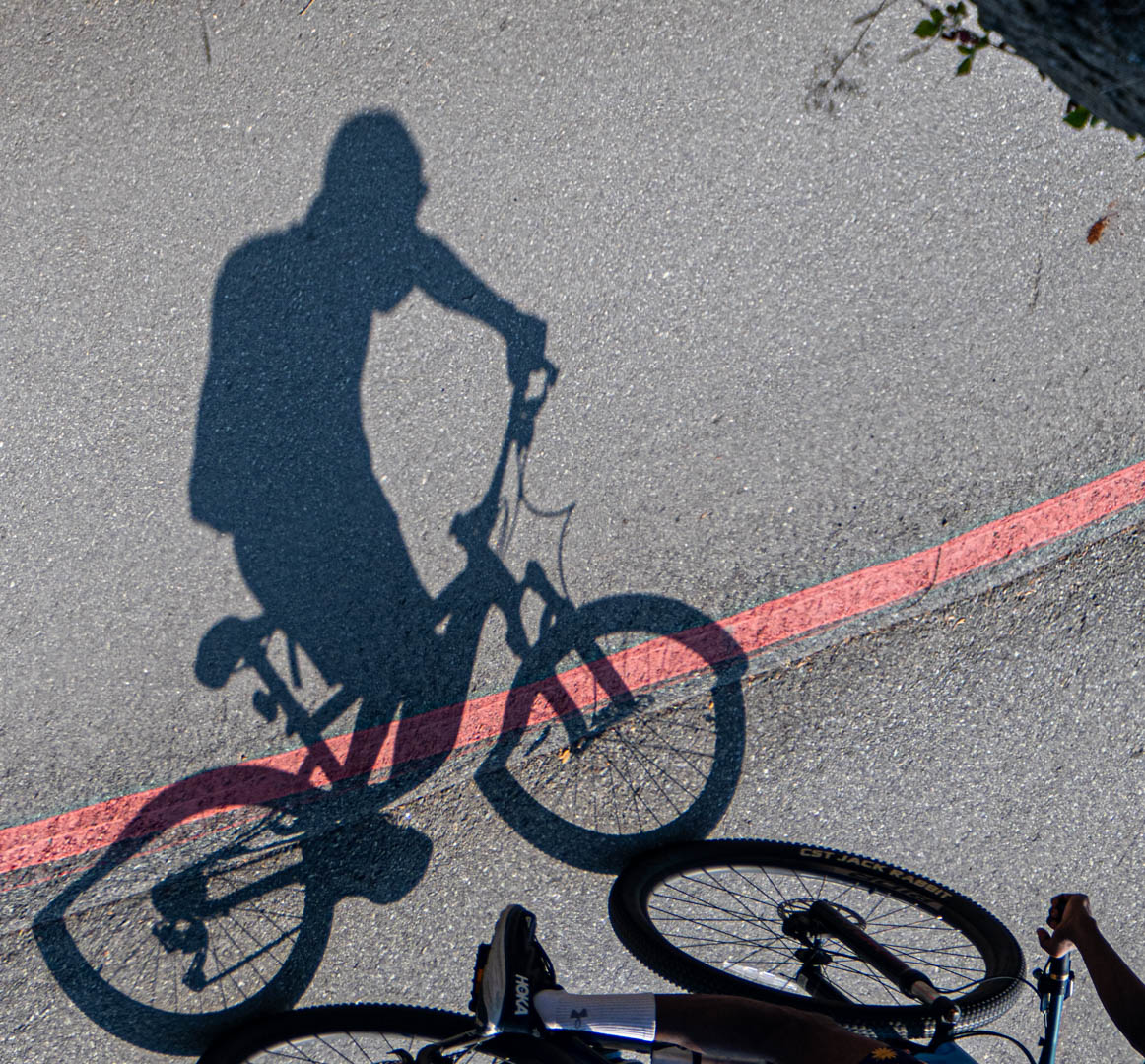 MarksGonePublic's tweet photo. Watching shadows roll by🚲 reminding me of a picture I saw many years ago of camels shadows in a desert. #PassingTime at the park https://t.co/NM6z8RqKLf
