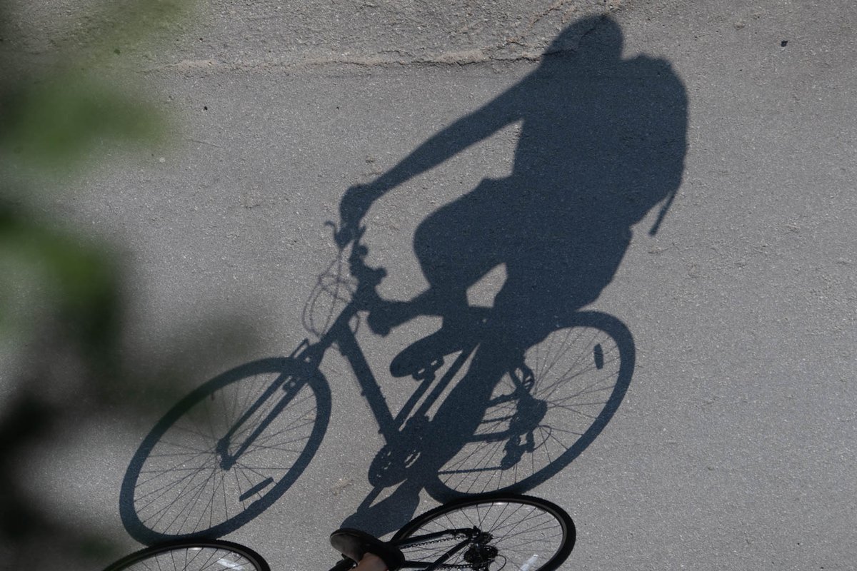 MarksGonePublic's tweet photo. Watching shadows roll by🚲 reminding me of a picture I saw many years ago of camels shadows in a desert. #PassingTime at the park https://t.co/NM6z8RqKLf