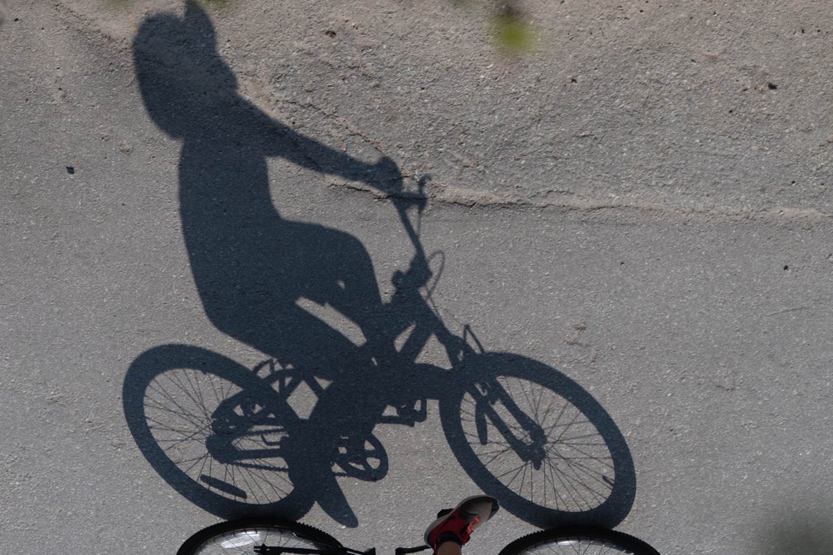 MarksGonePublic's tweet photo. Watching shadows roll by🚲 reminding me of a picture I saw many years ago of camels shadows in a desert. #PassingTime at the park https://t.co/NM6z8RqKLf