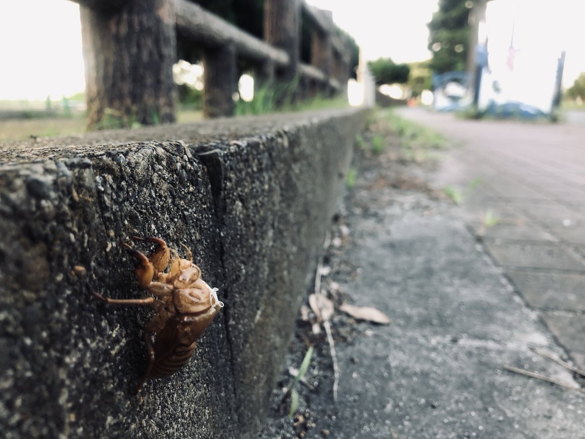 [今日の一枚]

中身無し。