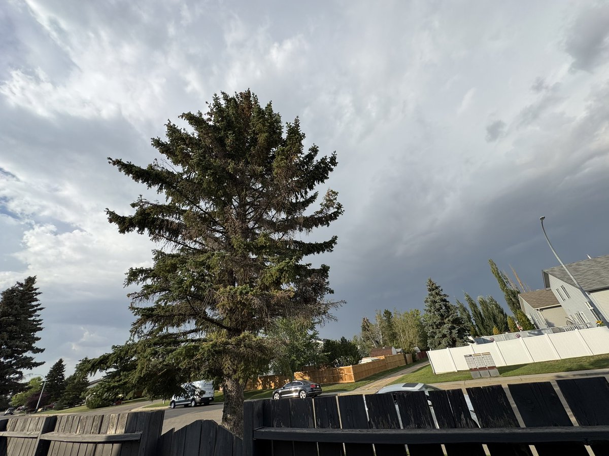 InkAndBootstrap's tweet photo. It’s sounded like I share a wall with a bowling alley for the last two hours in Morinville. Non-stop rumbling. I’m guessing Legal is soaking wet with how that storm is parked. #yegwx https://t.co/9cL5FO1xEX