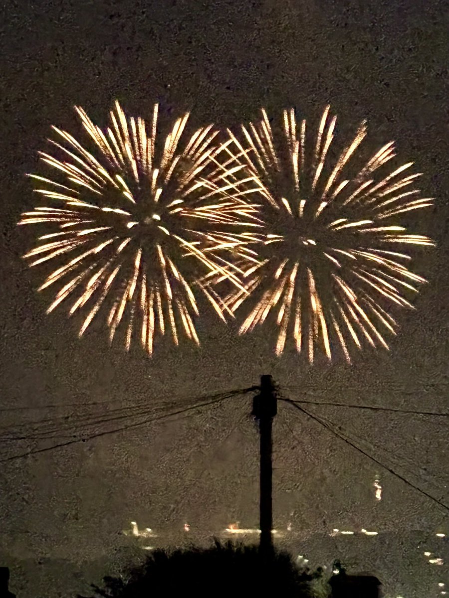 Patricia Young tweet media