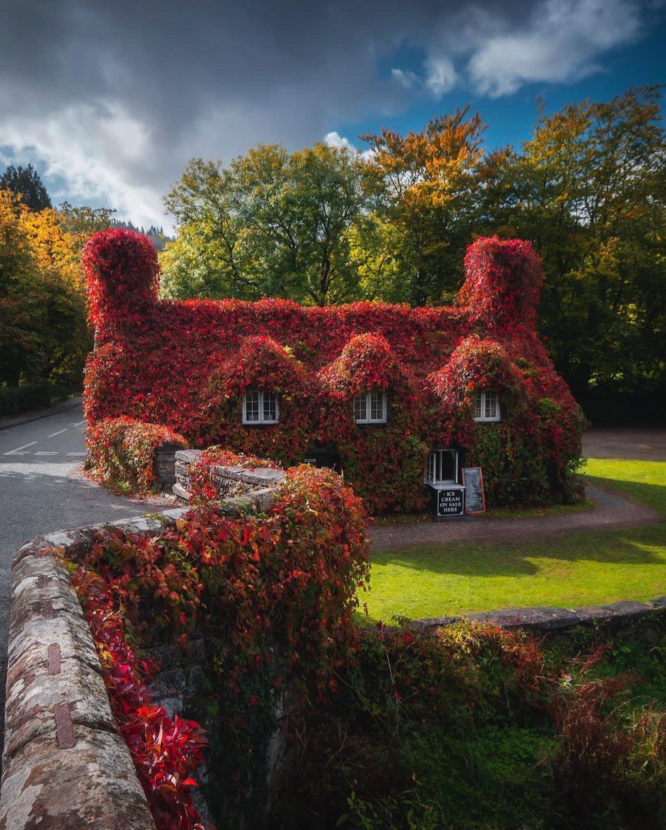 Autumn looks good on this cottage 🍂🍁 ~ North Wales 🏴󠁧󠁢󠁷󠁬󠁳󠁿