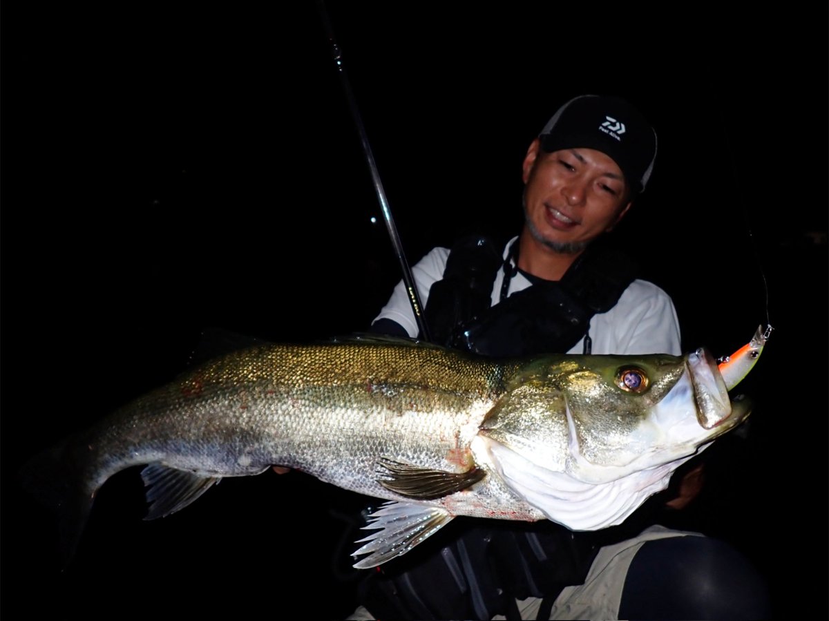 DAIWA - ▽kototaページ▽ daiwa - Search / X