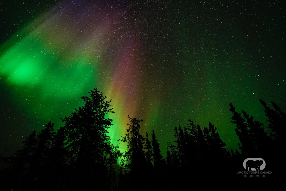 arctictourscan's tweet photo. No matter how many times we’ve visited our favorite spots for viewing the aurora, it always feels like a brand new experience each time. The vibrant colors on display never fail to amaze us. Last night, the aurora did not disappoint at all!
-----------
#aurora #northernlights https://t.co/LctdX6255z