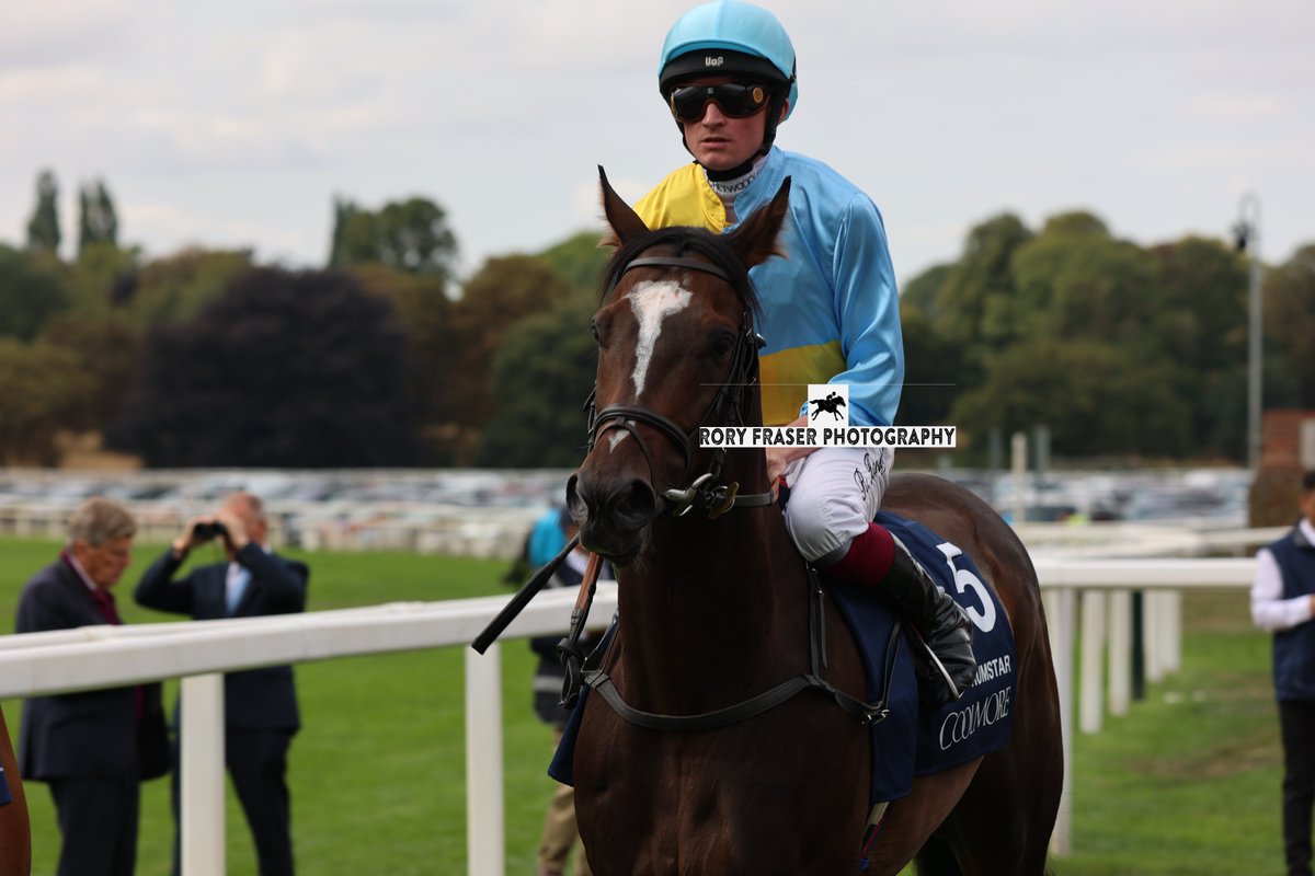 Rory Fraser Photography🤘 (@92roryf) on Twitter photo RUMSTAR (Havana Grey x Stellarta) at York recently for the Group One Nunthorpe Stakes (5f)
Trained by <a href="/jportmanracing/">Jonathan portman</a> and owned by Vincent & Russell Ward.
A six time winner, including this year's Gr. 3 Palace House Stakes and Coral Charge. RUMSTAR (Havana Grey x Stellarta) at York recently for the Group One Nunthorpe Stakes (5f)
Trained by <a href="/jportmanracing/">Jonathan portman</a> and owned by Vincent & Russell Ward.
A six time winner, including this year's Gr. 3 Palace House Stakes and Coral Charge.