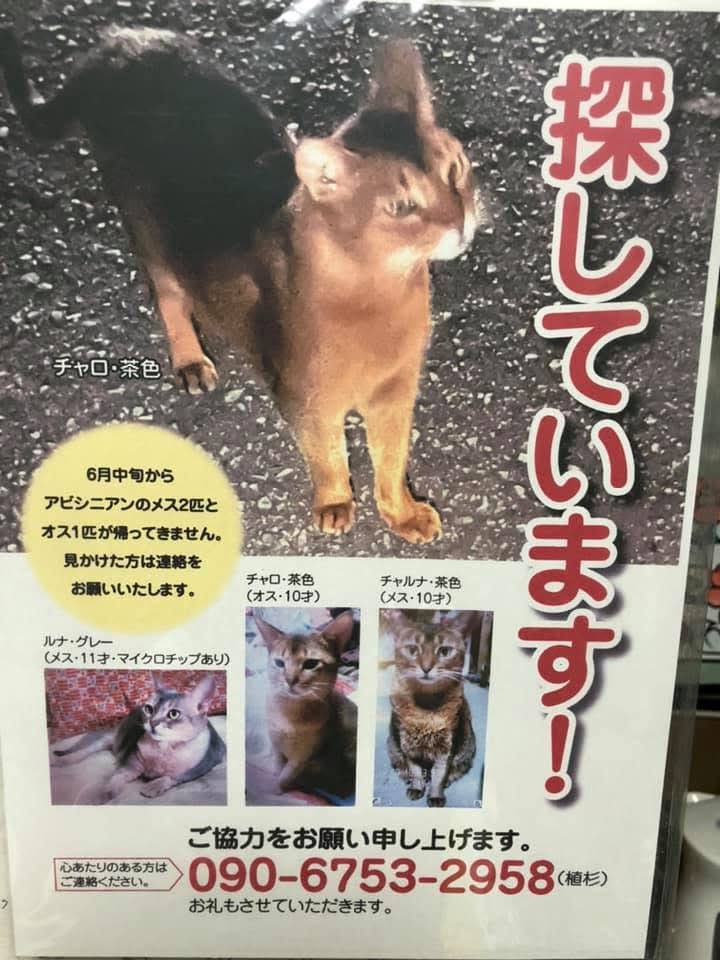 kurochan5110 (@kurochan_5110) on Twitter photo 