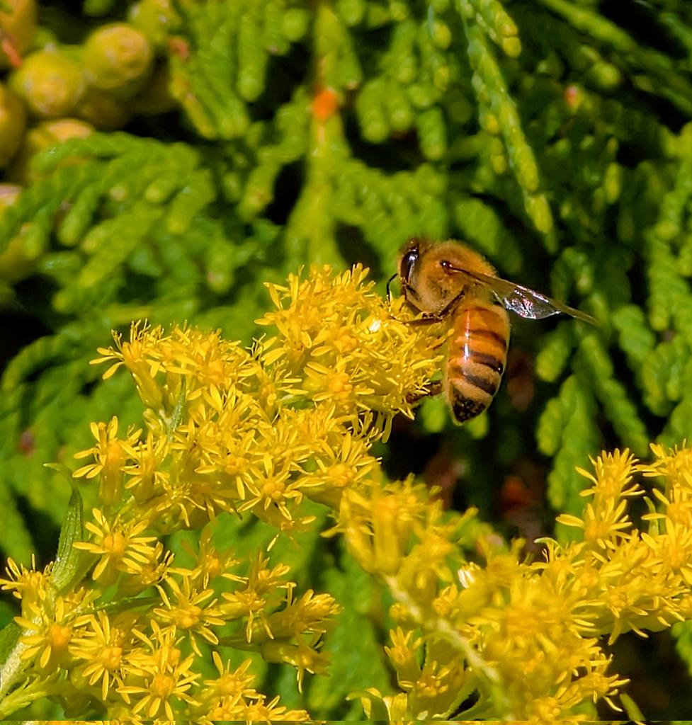 Still summer time,,,
  👍😎