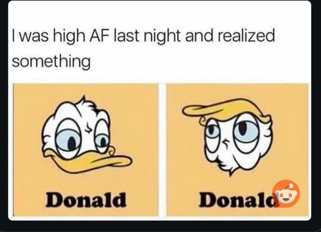 @trackingdonald Holy duck!!
