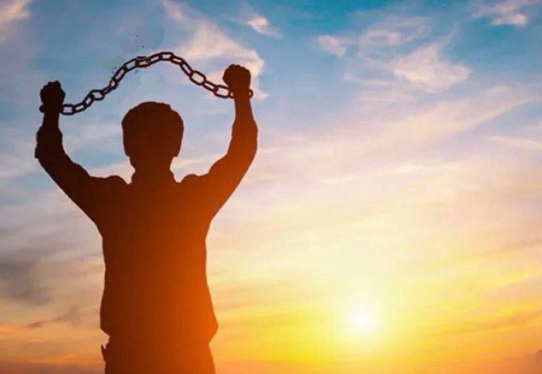 niggations's tweet image. just received information that motivated me to build up my roster again