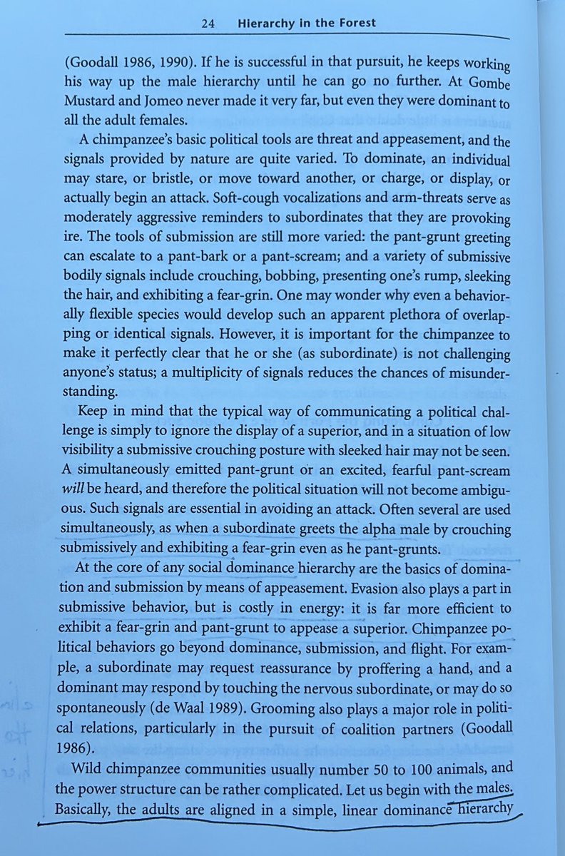 Richard Ngo tweet media