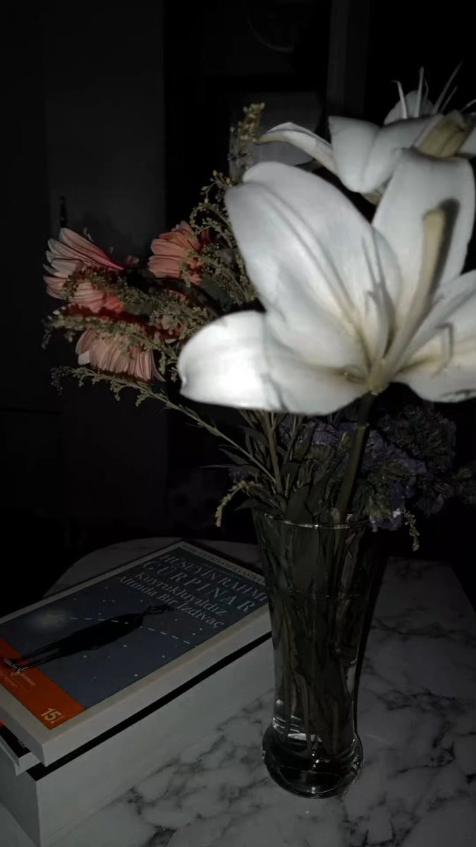 mervehamal (@mervehmll) on Twitter photo 