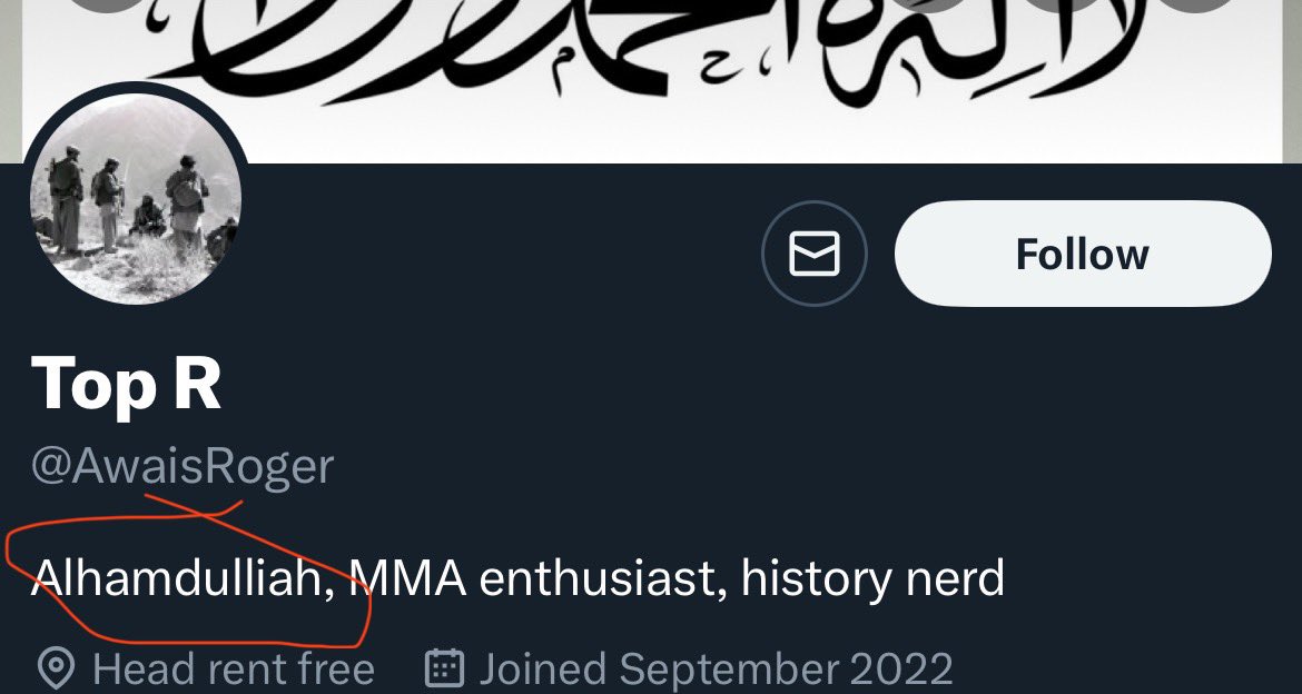 Robin MMA 🦀🐭🧛‍♂️ tweet media