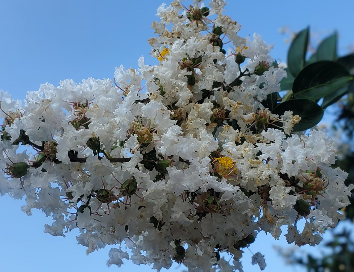 おはようございます
気温 23℃
今日の最高気温 36℃

今朝のお天気は晴れ🌞
日中も晴れの予報

8月も最後になりました
子供の頃は夏休みの宿題に
追われてた記憶が

遊んだつけの尻拭い
遠い昔の話してすが
懐かしい

頑張っていきましょう👊
良い週末をお過ごしください☺
#アマチュア無線
#イマソラ