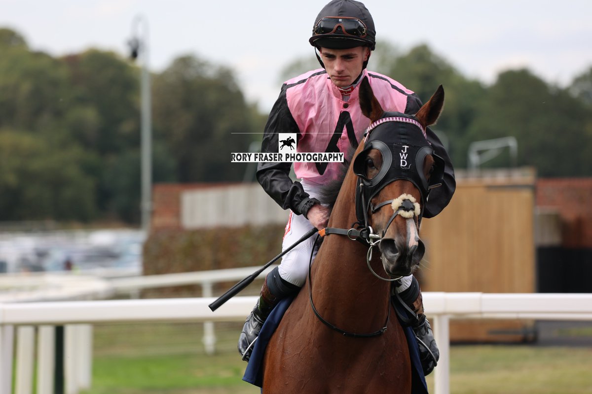 Rory Fraser Photography🤘 (@92roryf) on Twitter photo SHE'S QUALITY (Acclamation x Quality Time) at York recently for the Group One Nunthorpe Stakes (5f)
Trained by <a href="/JackJdavisond/">JWDavisonracing</a> and owned by Aristia Park Bloodstock & Partners.
Placed second in four consecutive Group races this year, including the Gr. 2 Temple Stakes. SHE'S QUALITY (Acclamation x Quality Time) at York recently for the Group One Nunthorpe Stakes (5f)
Trained by <a href="/JackJdavisond/">JWDavisonracing</a> and owned by Aristia Park Bloodstock & Partners.
Placed second in four consecutive Group races this year, including the Gr. 2 Temple Stakes.